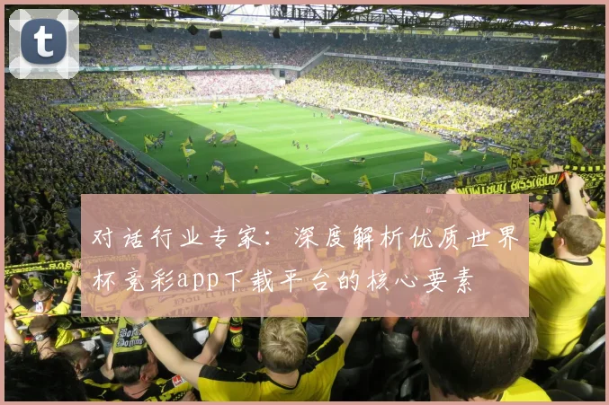 对话行业专家：深度解析优质世界杯竞彩app下载平台的核心要素