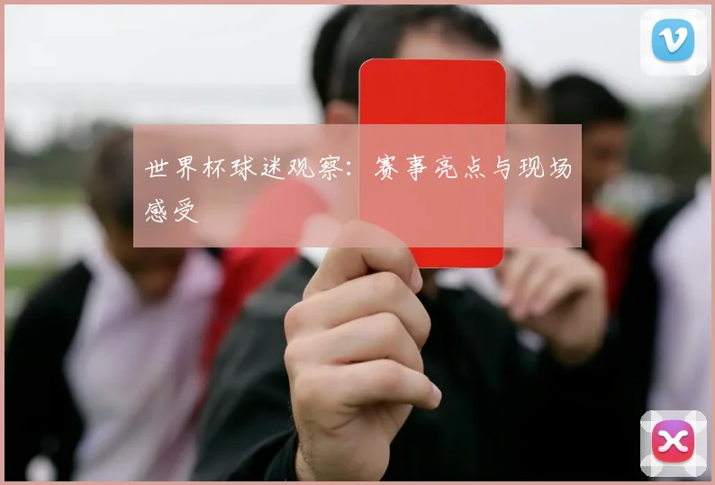 世界杯球迷观察:赛事亮点与现场感受