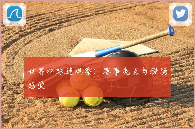 世界杯球迷观察：赛事亮点与现场感受
