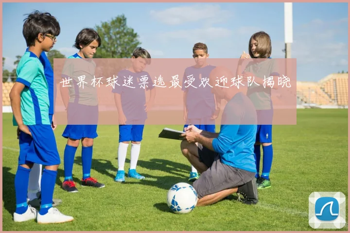 世界杯球迷票选最受欢迎球队揭晓