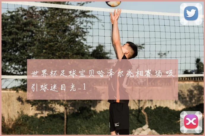 世界杯足球宝贝哈泽尔亮相赛场 吸引球迷目光_1