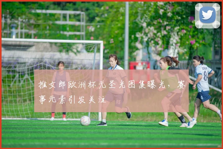 推女郎欧洲杯无圣光图集曝光,赛事元素引发关注