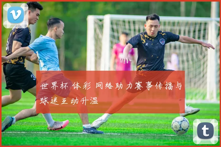 世界杯 体彩 网络助力赛事传播与球迷互动升温